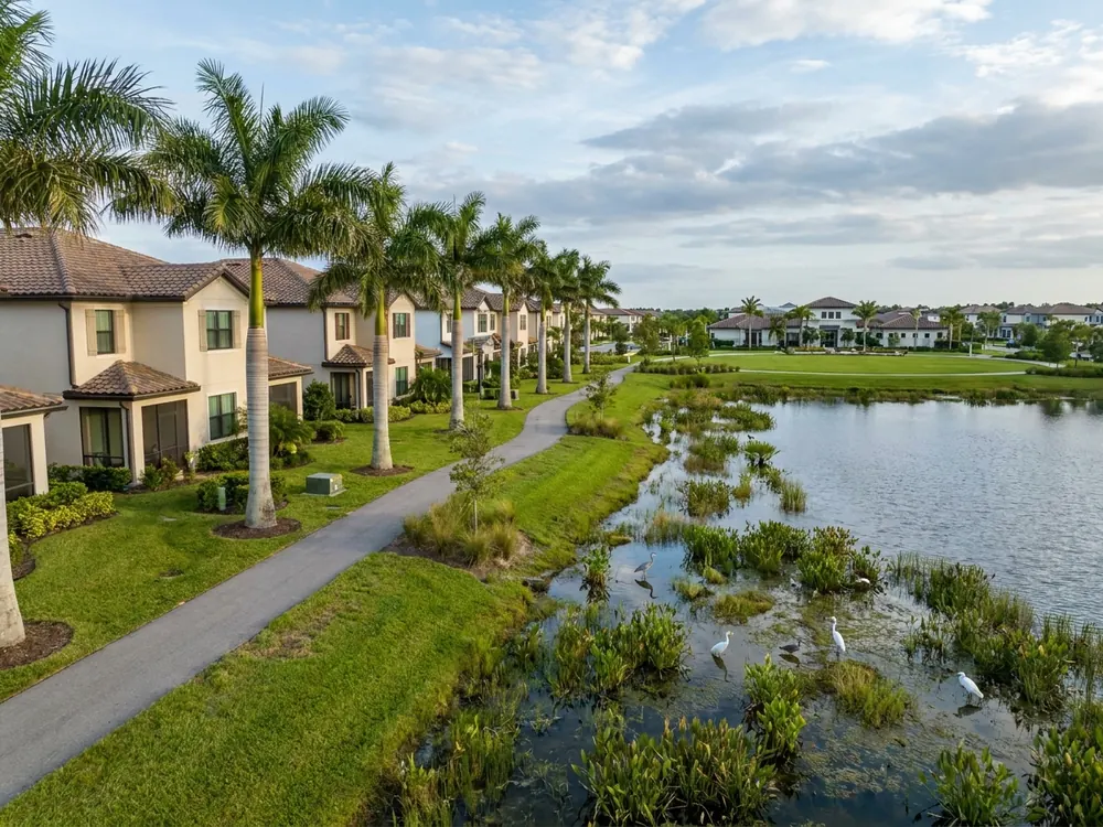 Lakeside homes and wetlands with wading birds in Viera